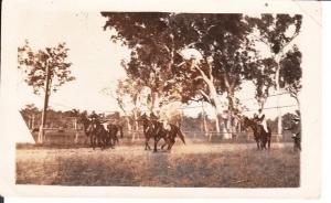 Horse Racing at Tarong Phot - D Clapperton